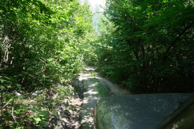 Рачейские скалы ( Самарская область  )