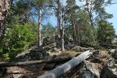 Рачейские скалы ( Самарская область  )