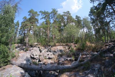 Рачейские скалы ( Самарская область  )