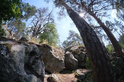 Рачейские скалы ( Самарская область  )