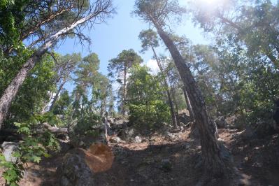 Рачейские скалы ( Самарская область  )