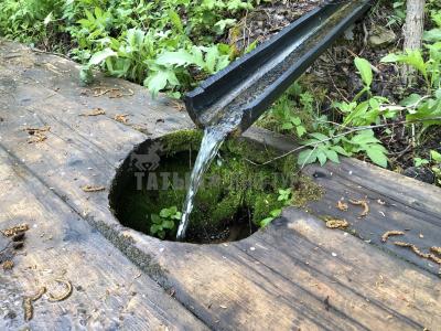 Родник Альма-Матер (Як-Бодьинский район) ( Удмуртская Республика  )