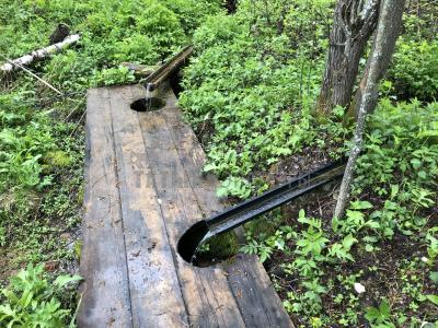 Родник Альма-Матер (Як-Бодьинский район) ( Удмуртская Республика  )