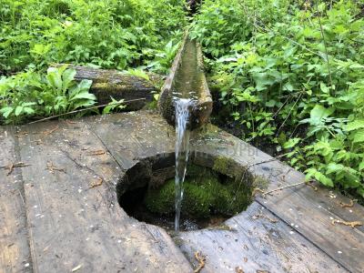 Родник Альма-Матер (Як-Бодьинский район) ( Удмуртская Республика  )