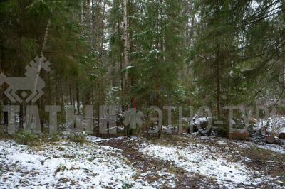 Родник кипун (Кизнерский район) ( Удмуртская Республика  )