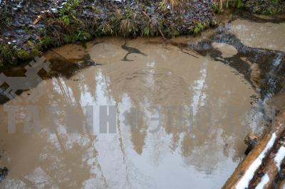 Родник кипун (Кизнерский район) ( Удмуртская Республика  )