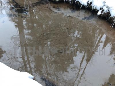 Родник кипун (Кизнерский район) ( Удмуртская Республика  )