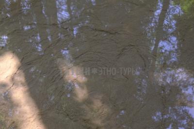 Родник кипун (Кизнерский район) ( Удмуртская Республика  )