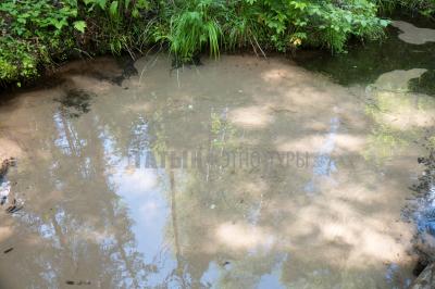 Родник кипун (Кизнерский район) ( Удмуртская Республика  )