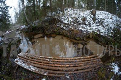 Родник кипун (Кизнерский район) ( Удмуртская Республика  )