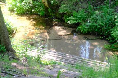 Родник кипун (Кизнерский район) ( Удмуртская Республика  )