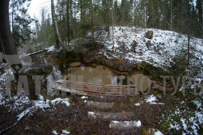 Родник кипун (Кизнерский район) ( Удмуртская Республика  )