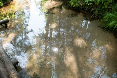 Родник кипун (Кизнерский район) ( Удмуртская Республика  )