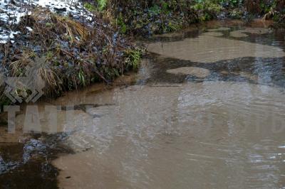 Родник кипун (Кизнерский район) ( Удмуртская Республика  )