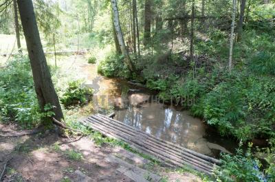 Родник кипун (Кизнерский район) ( Удмуртская Республика  )