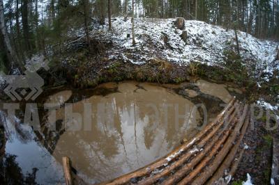 Родник кипун (Кизнерский район) ( Удмуртская Республика  )