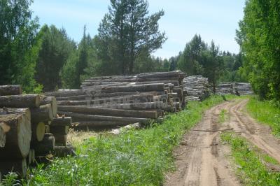 Родник кипун (Кизнерский район) ( Удмуртская Республика  )