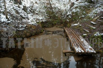 Родник кипун (Кизнерский район) ( Удмуртская Республика  )