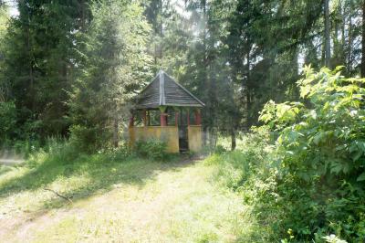 Родник кипун (Кизнерский район) ( Удмуртская Республика  )