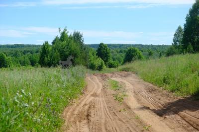 Родник кипун (Кизнерский район) ( Удмуртская Республика  )