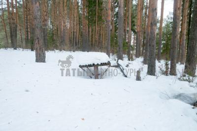 гора Вукогурезь ( Удмуртская Республика  )