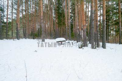 гора Вукогурезь ( Удмуртская Республика  )