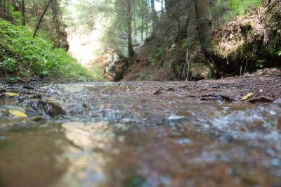 Каньон реки Абат ( Удмуртская Республика  )