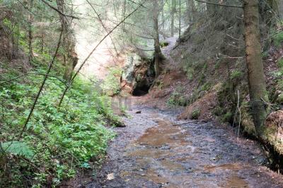 Каньон реки Абат ( Удмуртская Республика  )