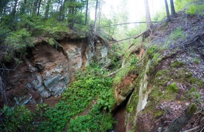 Каньон реки Абат ( Удмуртская Республика  )