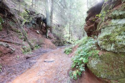 Каньон реки Абат ( Удмуртская Республика  )