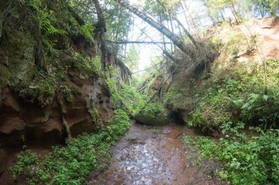 Каньон реки Абат ( Удмуртская Республика  )