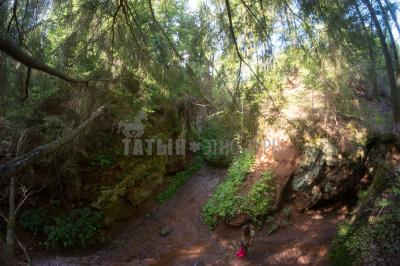 Каньон реки Абат ( Удмуртская Республика  )