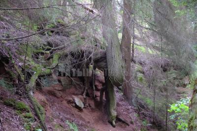 Каньон реки Абат ( Удмуртская Республика  )