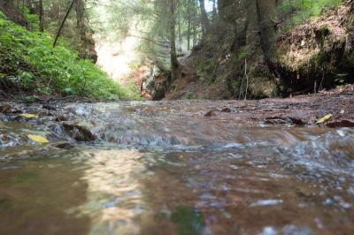 Каньон реки Абат ( Удмуртская Республика  )