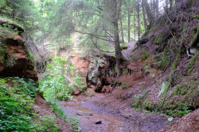 Каньон реки Абат ( Удмуртская Республика  )