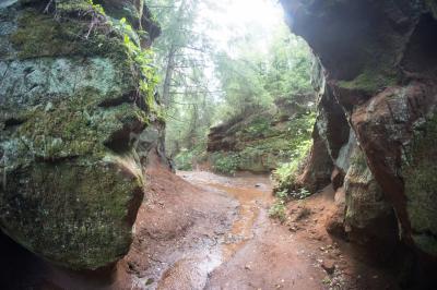 Каньон реки Абат ( Удмуртская Республика  )