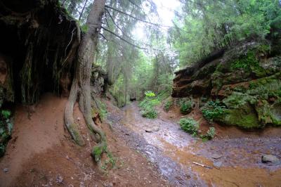 Каньон реки Абат ( Удмуртская Республика  )