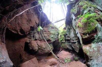 Каньон реки Абат ( Удмуртская Республика  )