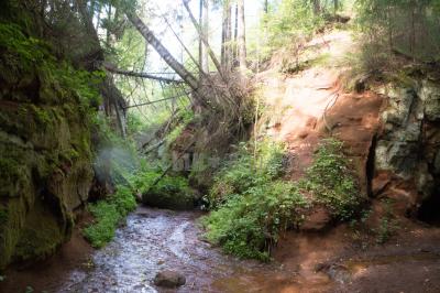 Каньон реки Абат ( Удмуртская Республика  )