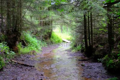 Каньон реки Абат ( Удмуртская Республика  )