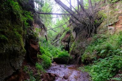 Каньон реки Абат ( Удмуртская Республика  )