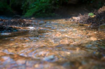 Каньон реки Абат ( Удмуртская Республика  )