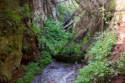 Каньон реки Абат ( Удмуртская Республика  )