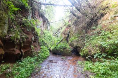 Каньон реки Абат ( Удмуртская Республика  )