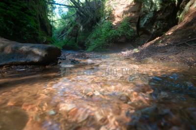 Каньон реки Абат ( Удмуртская Республика  )