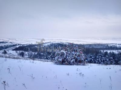 Зуевы Ключи ( Удмуртская Республика  )