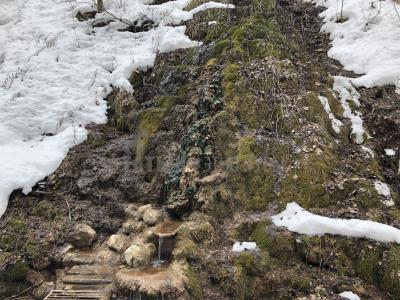 Зуевы Ключи ( Удмуртская Республика  )