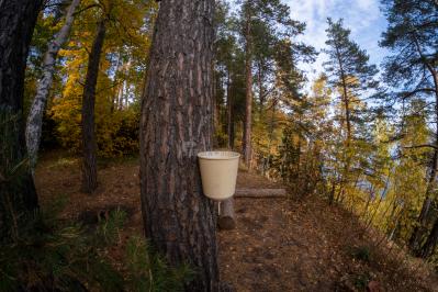 Галёвские скалы ( Удмуртская Республика  )
