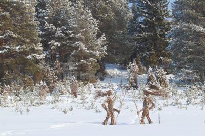 Историко-культурный парк ДондыДор ( Удмуртская Республика  )