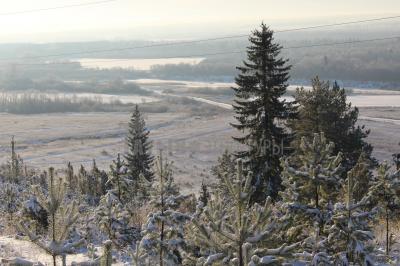 Историко-культурный парк ДондыДор ( Удмуртская Республика  )